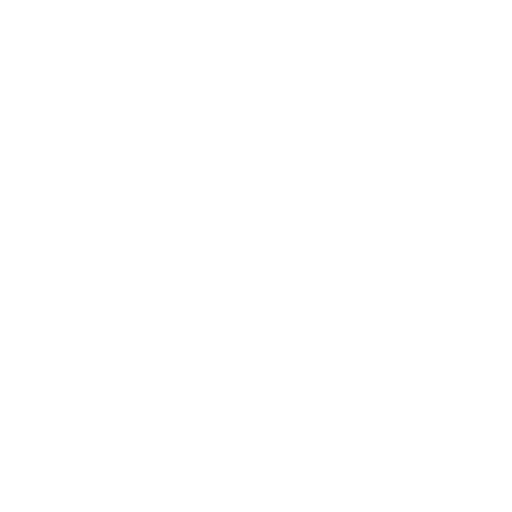 Kidney Transplant
