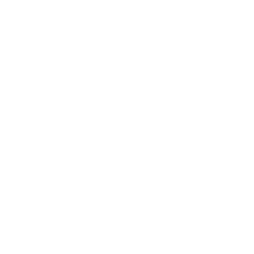 Support Specialities Icon